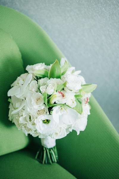 Flores